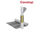 Difūzijas membrāna Corotop LIGHT 100